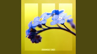 Caucasus (Extended Mix) - Passenger 10