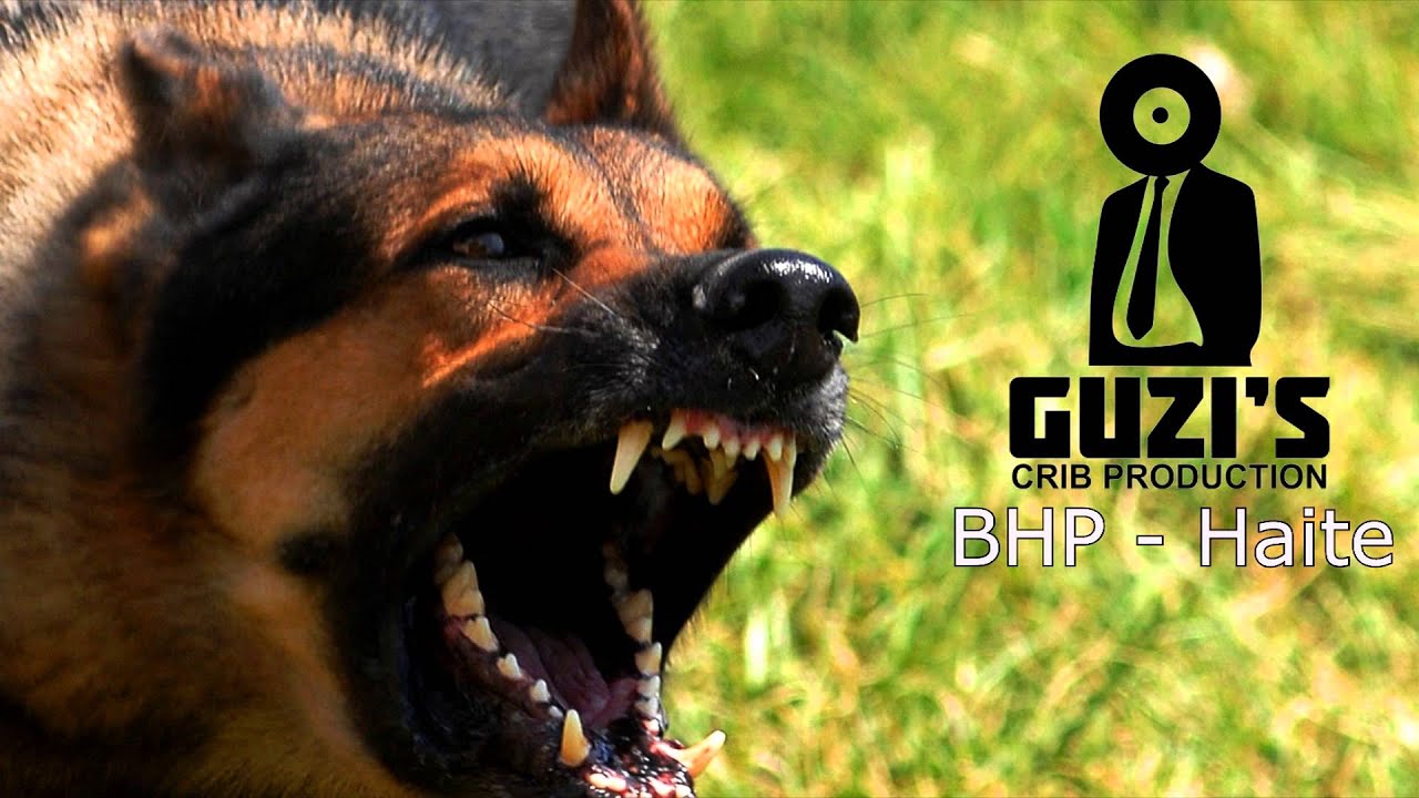 BHP - Haite (mixtape)