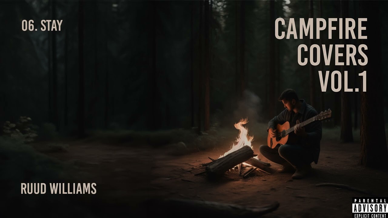 Stay - Post Malone (Cover by Ruud Williams) [Audio]