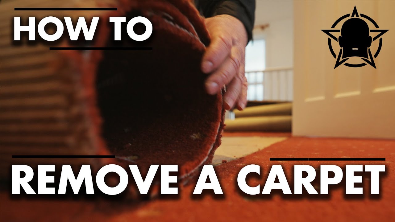 How To Remove Old Smelly Carpet 🤢 #diy - YouTube