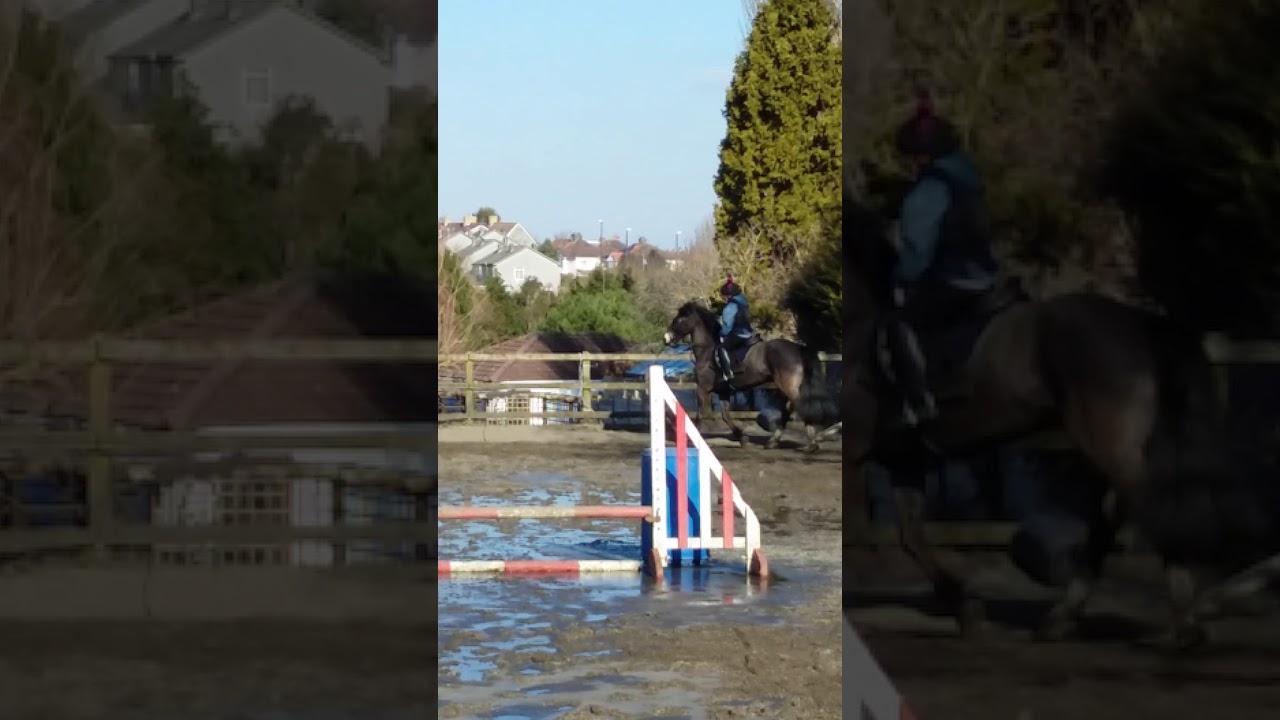 Cantering with out the rope for first time YouTube