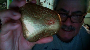 Spider Web Rocks. Real Spider Webs.