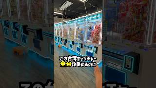 北海道のゲーセンで台湾キャッチャー全台チャレンジしたらまさかの結果に、、、#shorts #クレーンゲーム #ufoキャッチャー #ゲーセン #ゲームセンター #万代札幌藤野店