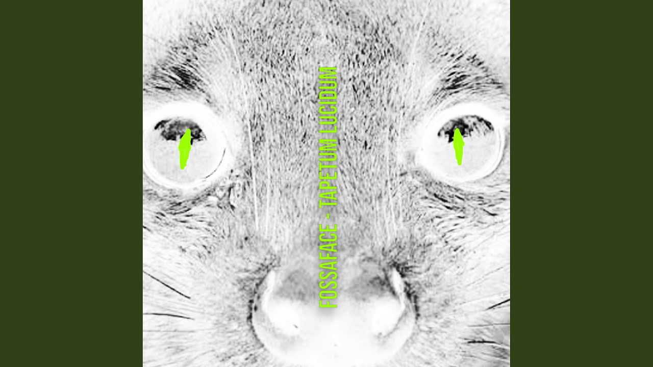 Watch REINCARNATE on YouTube Watch REINCARNATE on YouTube