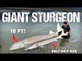 I Caught a 400lb Prehistoric Fish!