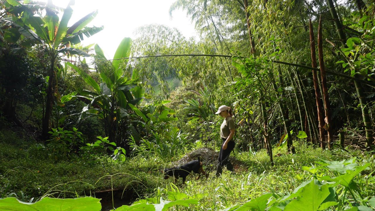 This Is My Everyday | Quiet Mountain Life in Colombia