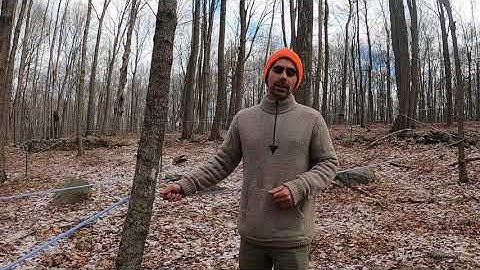 Introduction to 5/16" Tubing Systems for Maple Production | Yale Forests