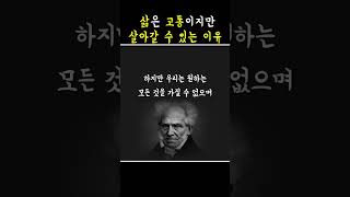 쇼펜하우어 인생론 : 행복은 삶의 목적이 아니다.