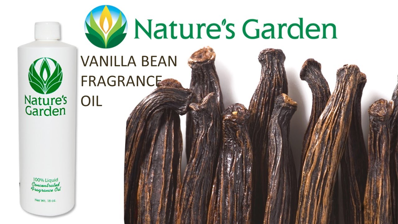 Vanilla Bean Fragrance Oil- Natures Garden 