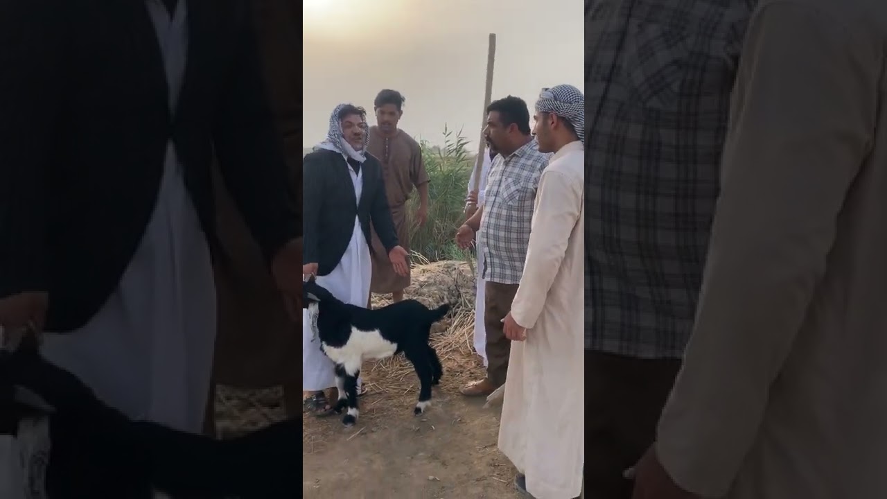 اليوم فريج ونويصر باكو صخل شوف صار الايك اشتراك بل قناه ليصلك كل ماهوه جديد