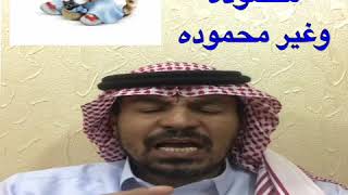 القط او الهره او القطط في المنام والأحلام معاني محموده وغير محموده