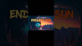 Endless Sun Chill Monkeys