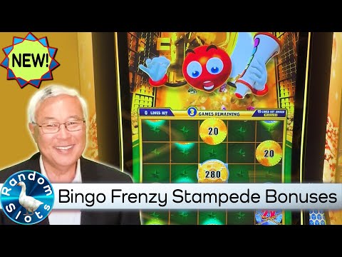 Bingo Frenzy Stampede Tiger Slot Machine, Both Bonuses