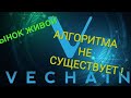 Криптовалюта Vechain(VET).График легко понять.Обучайся-Зарабатывай.