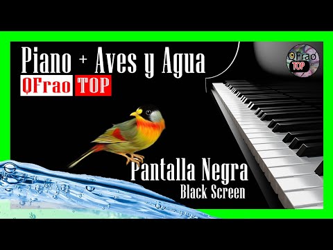 PIANO Y Sonidos De La NATURALEZA Pantalla Negra Dormir En 5 Minutos 