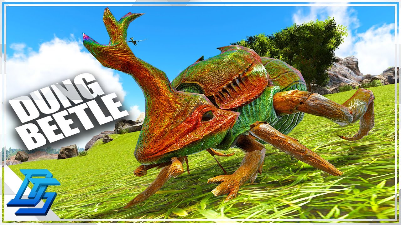 DUNG BEETLE TAME, IMPROVE THE FRIENDSHIP ISLAND! Ark Survival Evolved Gameplay (2022) Part