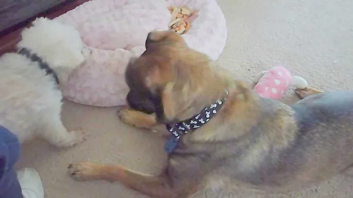 "Talk to me, Tasha!"