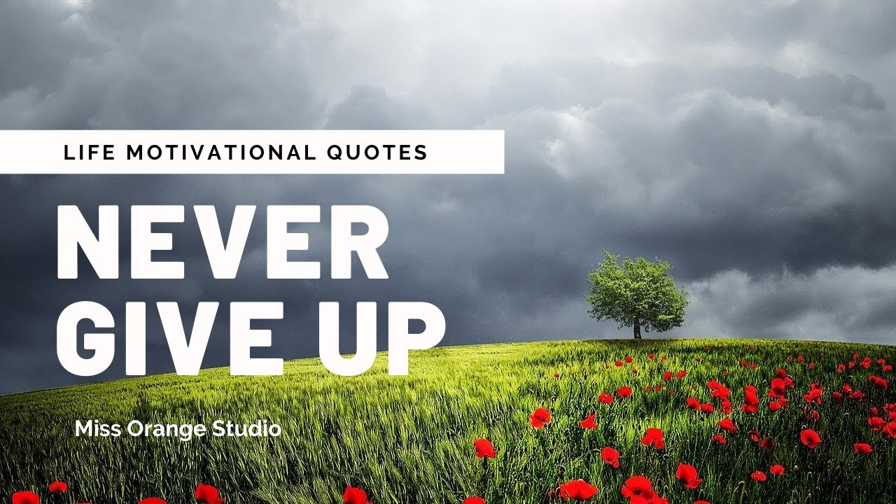 Best Motivational Quotes - NEVER GIVE UP [EP.3] - YouTube