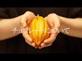 チョコレート製造について