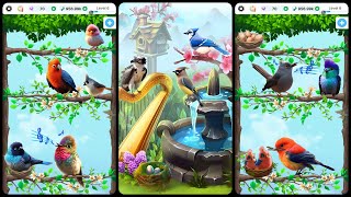 Bird Idle: Relaxing Birdsong Gameplay Video for Android Mobile screenshot 3