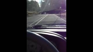 IMG 1229   Copy