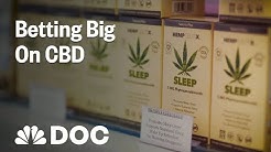 Betting Big On CBD: How To Start A Business Few People Understand | NBC News