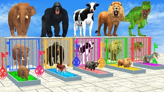 Cow Elephant Lion Gorilla Tiger T-Rex Guess The Right Key ESCAPE ROOM CHALLENGE Animals Cage Game