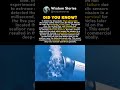 The TITAN Submersible Pressure Failure