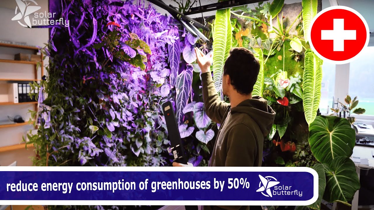 How cropled can reduce energy consumption of greenhouses by 50% - YouTube