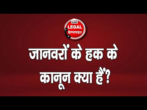 वीडियो: आवारा प्रावधान क्या है?