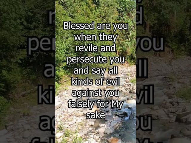 Beatitudes Part 9: Blessed are you when they revile and persecute you, #Shorts
