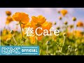 春Cafe: April Spring Jazz - Calming Scenery Instrumental Music for Reading, Studying