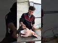 والله طالع أزور أمي شفت الأطفال حبيت أورجيكم معاناة أطفال قطاع غزة والله انضلموا أطفال غزة #غزة