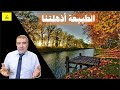 الطبيعة أذهلتنا 7 مرات في عام 2021