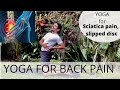 Yoga for back pain  yoga for sciatica pain  yoga for back pain relief  prashantj yoga 