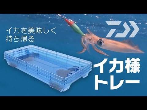 DAIWA イカ　トレー hqdefault.jpg