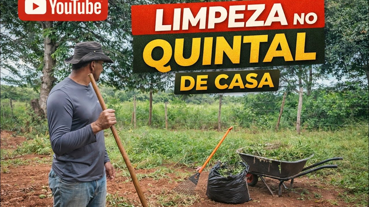 Reutilizando o mato da capina