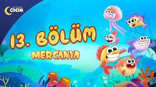 Mercanya 13. Bölüm Evet Hayır