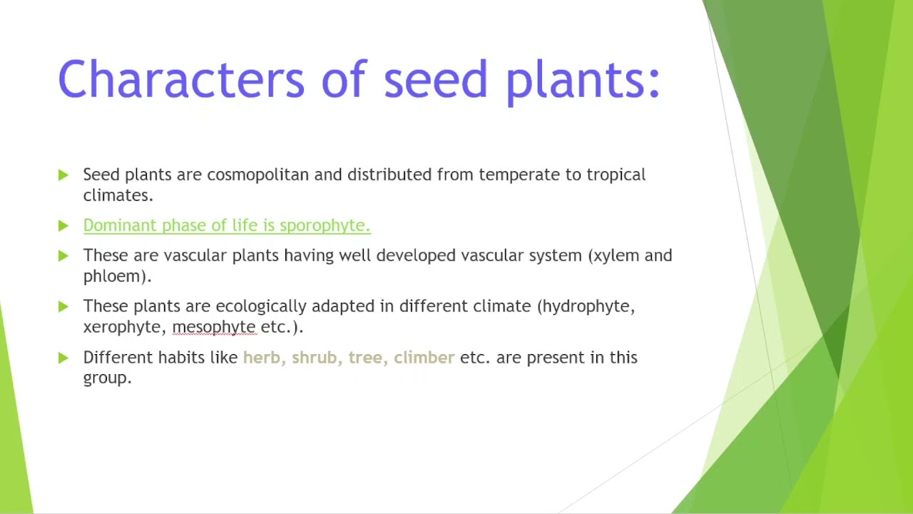 Characters of seed plants by Dr .anupama dixit