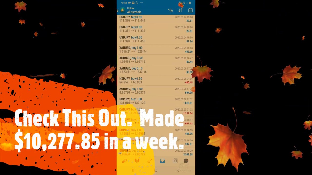 Forex Dollars - Forex Robot Nation forex trading with 10000 dollars