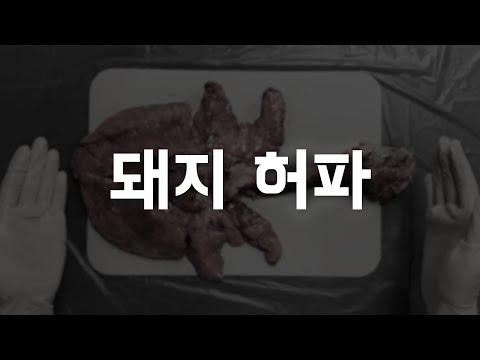 폐의 구조와 호흡 원리 [호흡기관의 구조와 기능]
