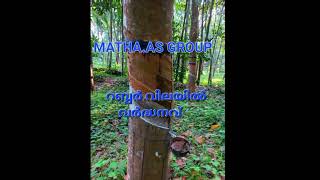 rubber board infromation update