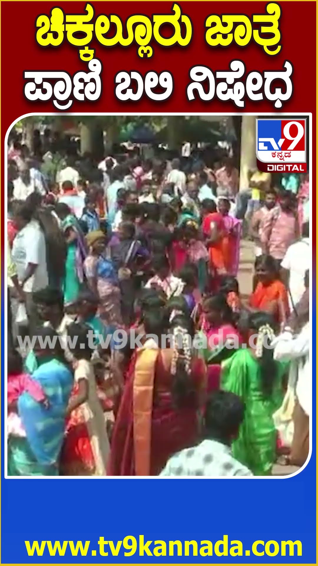 Chikkalluru Jatre: ಸಿದ್ದಾಪ್ಪಾಜಿ ಜಾತ್ರಾ ಮಹೋತ್ಸವ, ಪ್ರಾಣಿ ಬಲಿ, ಟ್ಯಾಟು, ಹಚ್ಚೆಗೆ ನಿಷೇಧ  | #TV9D