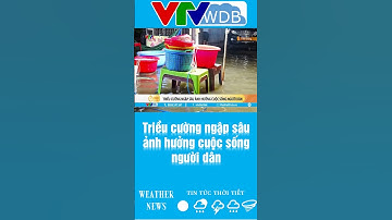 Triều cường ngập sâu ảnh hưởng cuộc sống người dân | VTVWDB
