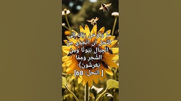 سورة النحل الآية 68 للقارئ هشام الهراز