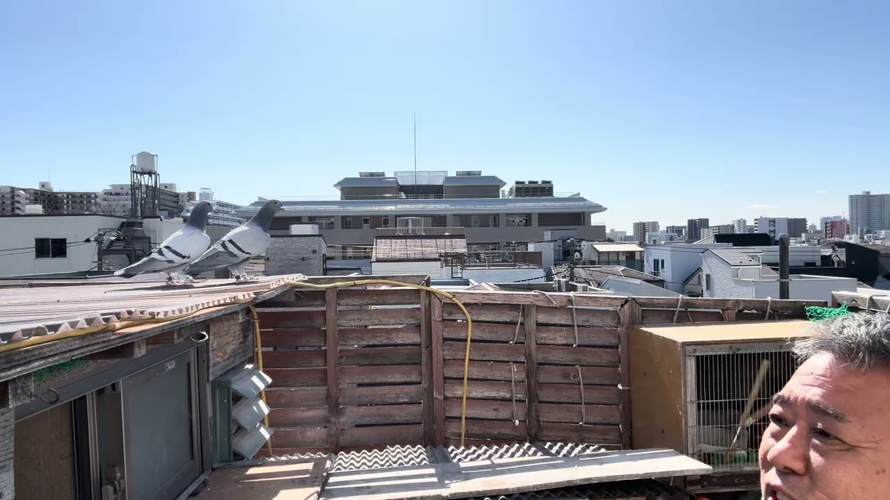 東京東300kレース