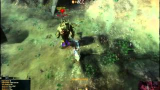 Thief melee solo champion abom arah p2