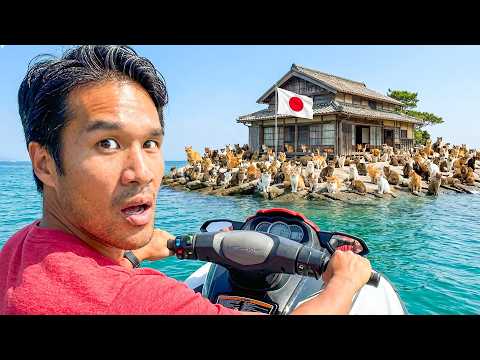 Japan Offered Me A Free House… On An Island With 50 People And 100 Cats