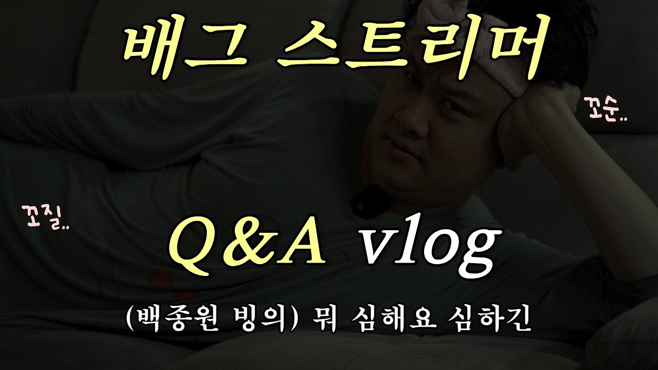 배그 스트리머의 Q&A 브이로그