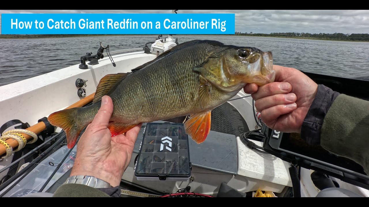 Stop Wasting Money on Ball Headed Jigs and Start Catching Way More Fish!